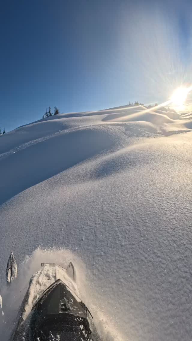 Paradise on Earth #oxbowgear #polarissnow #getoutside
