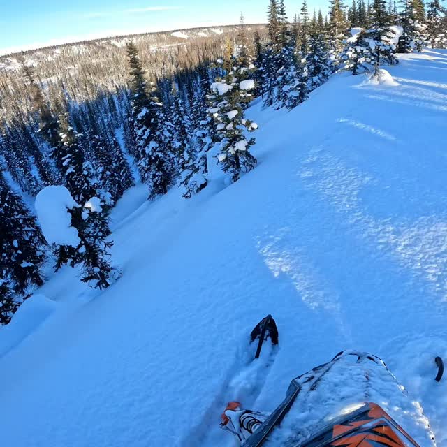 High consequence, steep terrain, gotta hold that edge, even going downhill!

@polarissnow 
@dps_fairbanks 
@dps_riders_team 
@thesierrawinterway 
@arcticfxgraphics 
@klim 
@ggb_exhaust 
@gopro 

#treelines #downhill #isitwinteryet❄️