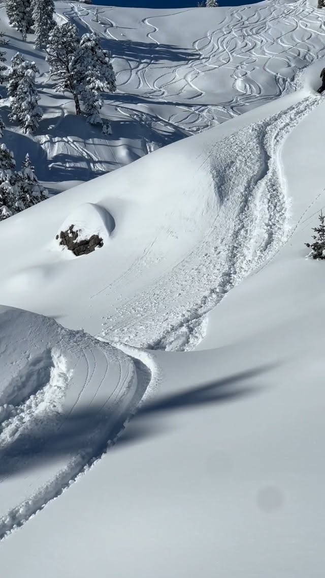 Starting to dream of @powsurf days. Couple months and we will be back in it. Clips from two of the deepest days last season with @jeremyjensen_ @kanikaelevenk and @chriscroft_ ❄️🏄‍♂️💨 #freeyourbind