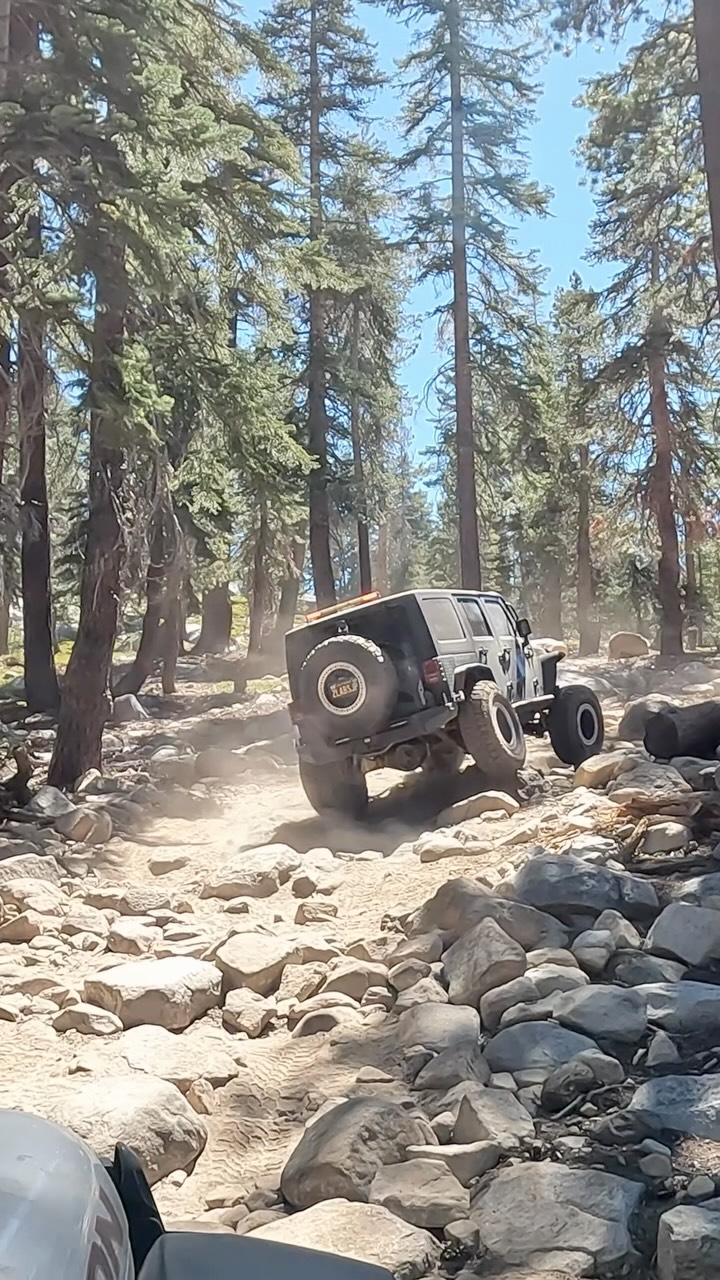 @2_labs_and_a_jeep at Red Lake Trail last weekend🤘🏻

#offroad #jeep #4x4