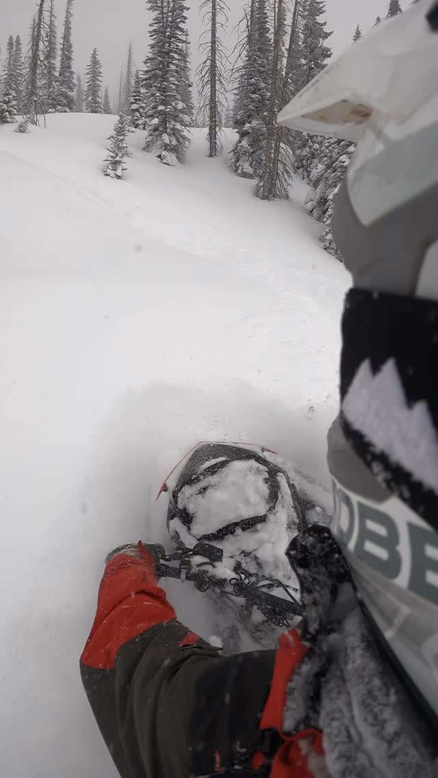 Man do I miss riding my snowmobile 
•
•
•
#summersucks #colorado #winter #snowmobiles @_dialed_performance_ @rockymountainsledrentals @snowchildclothing @ridefastcompany