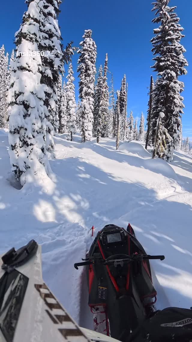 It was so fun to learn the 146 @composit_tracks with my 4000 km worn out clutch’s🤣!!! Can’t wait to play again on the 46 with fresh clutch’s and @whiskeythrottle_powersports fresh clutch kit 👌 #insta360 #instagood #explore #love #winter