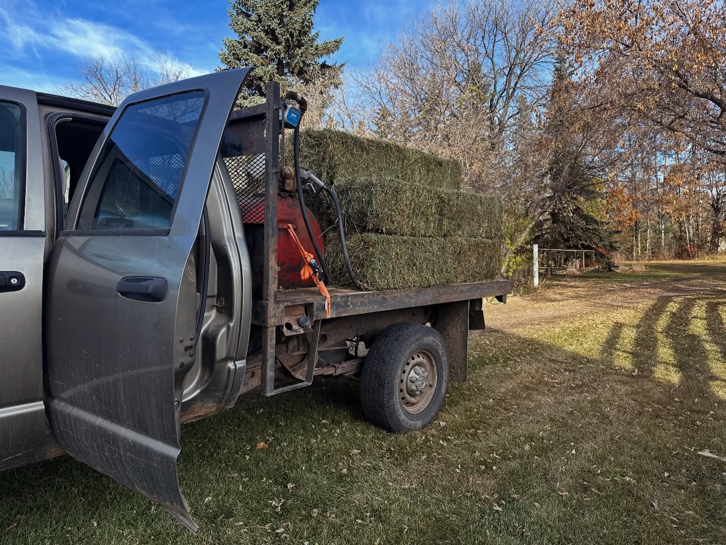 Delivery of all size loads available! Rates determined by load and distance! Feel free to reach out for help in ordering hay! 
#goldentrackfarms #barrhead #edmonton #smallfarm