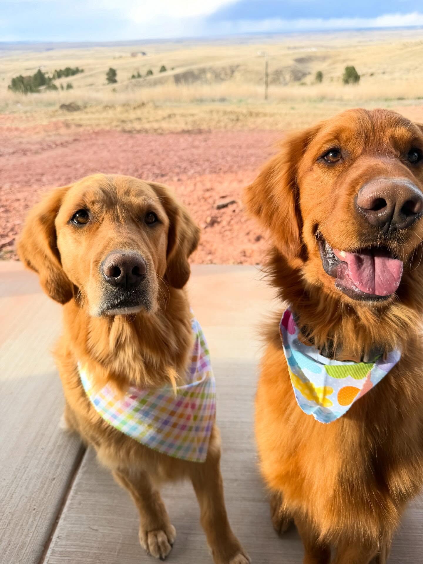 Tillie & Kash be lookin’ fresh for the Easter Bunny. 🐰