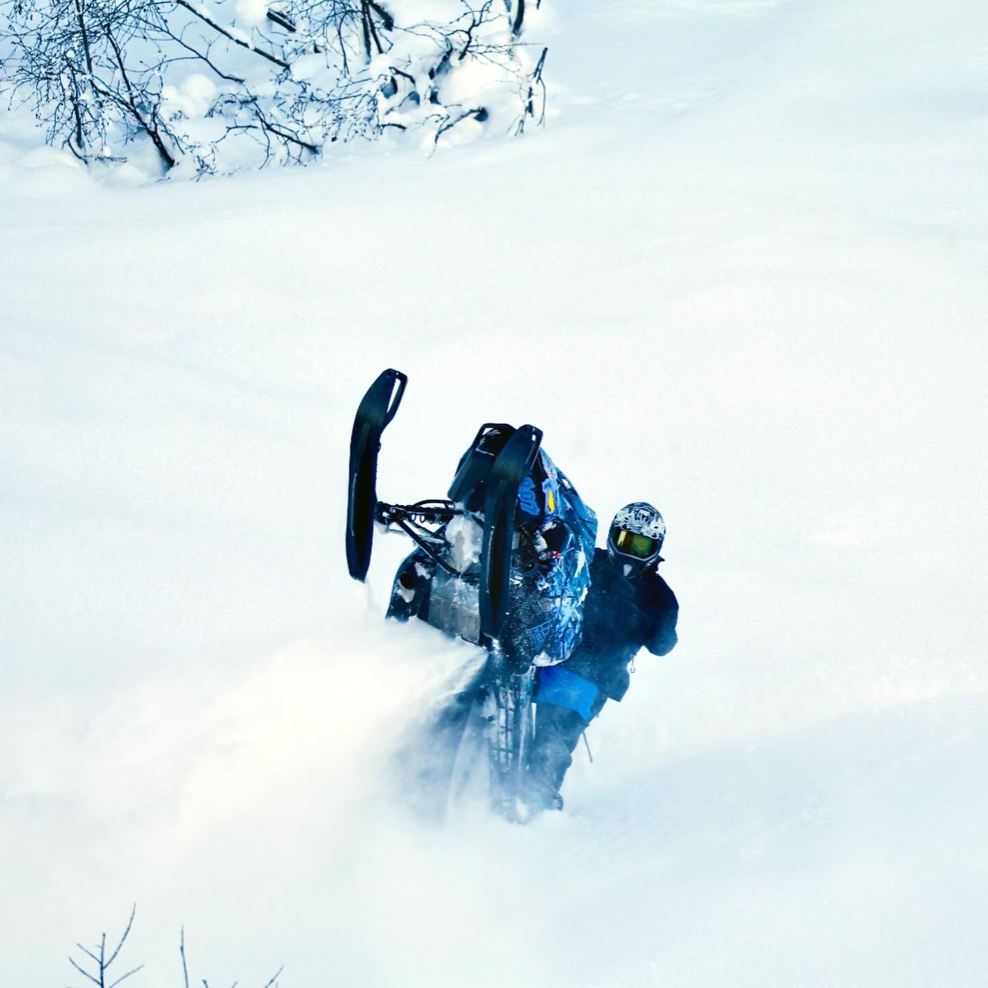 Loving this new @skidoo summit turbo R. Happy that snow has shown up in the home zones. 

📸 @josh_handeland 

@dps_fairbanks 
@dps_riders_team 
@artworkbysierrawinter 
@glaciergrindcoffeeak 
@flydenali