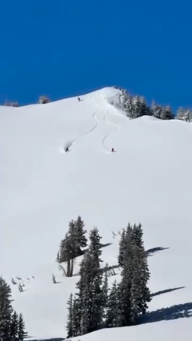 Rad day of powsurfing with @hardbootdaddy @wildwasatch and @tysonhighfive ☀️❄️💨 #splitsurfingistheanswer