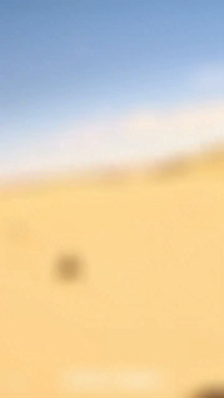 This is just too damn funny!! Ibexx LLCGamble Offroad Tanned & TipsyMB WhipsRen WalkerAlex KlassenKyle SetterbergTrevor Blackburn #funnyreels #lifelessons #OhLord #ridesafe #reelsviral