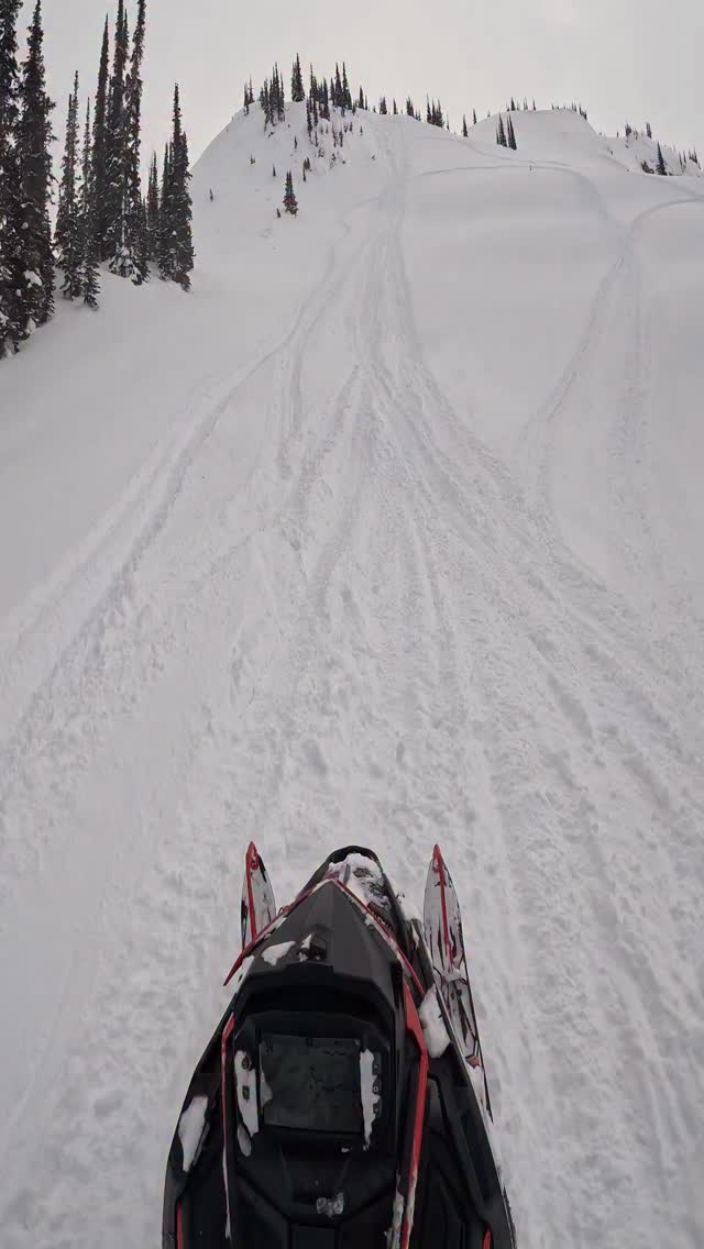 Making, or trying to make the 146" 9r climb some things

@proven_progression 
@509inc