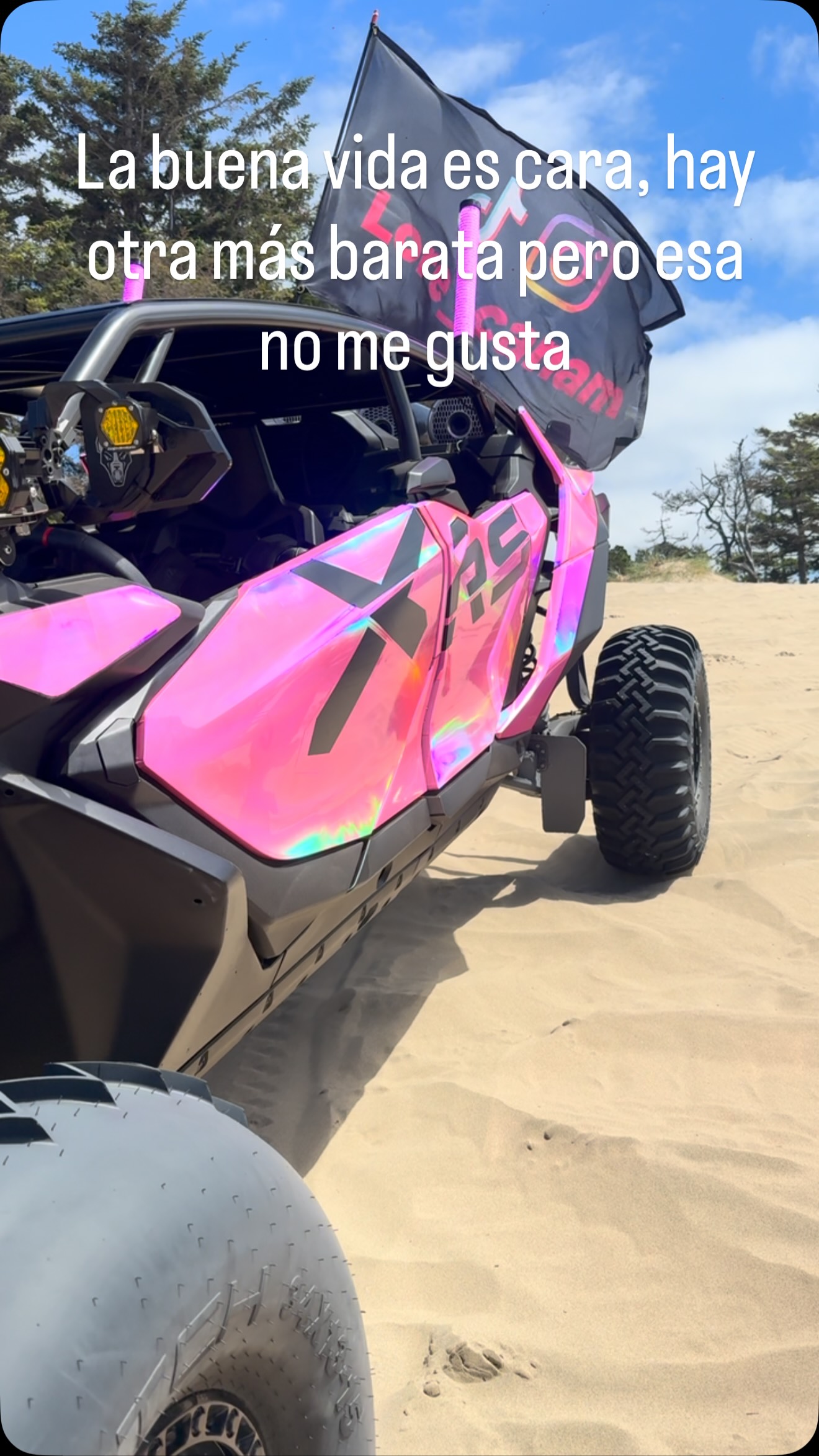 Así de simple 😚 #pinkcanam #maverickr #luckywhips #4x4 #canam