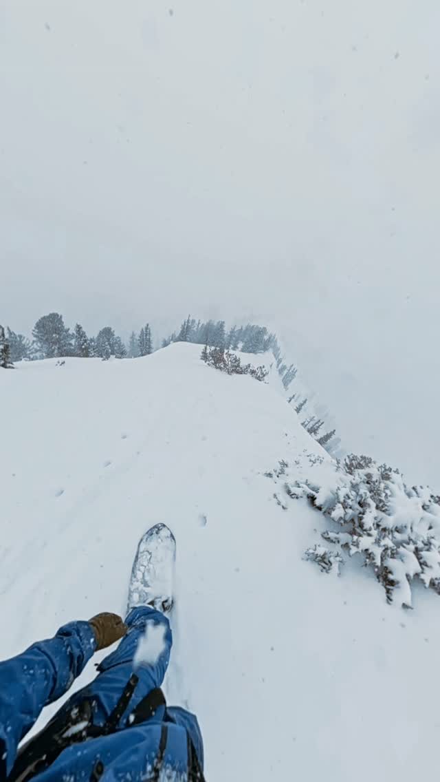 Annual reminder that this will be back in a few months ❤️
.
.
.
.
.
#cardiffsnowcraft #utah #thesatch