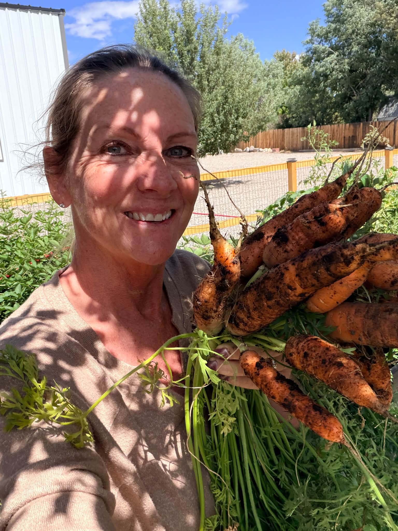 I have put together some bags of vegetables because we have so much. Cucumbers, carrots, green, onions, and tomatoes are in each bag. I have three left after delivering to neighbors. First to pick up gets them or text me and I’ll let you know if we still have any left. I hate wasting this homegrown food. ￼