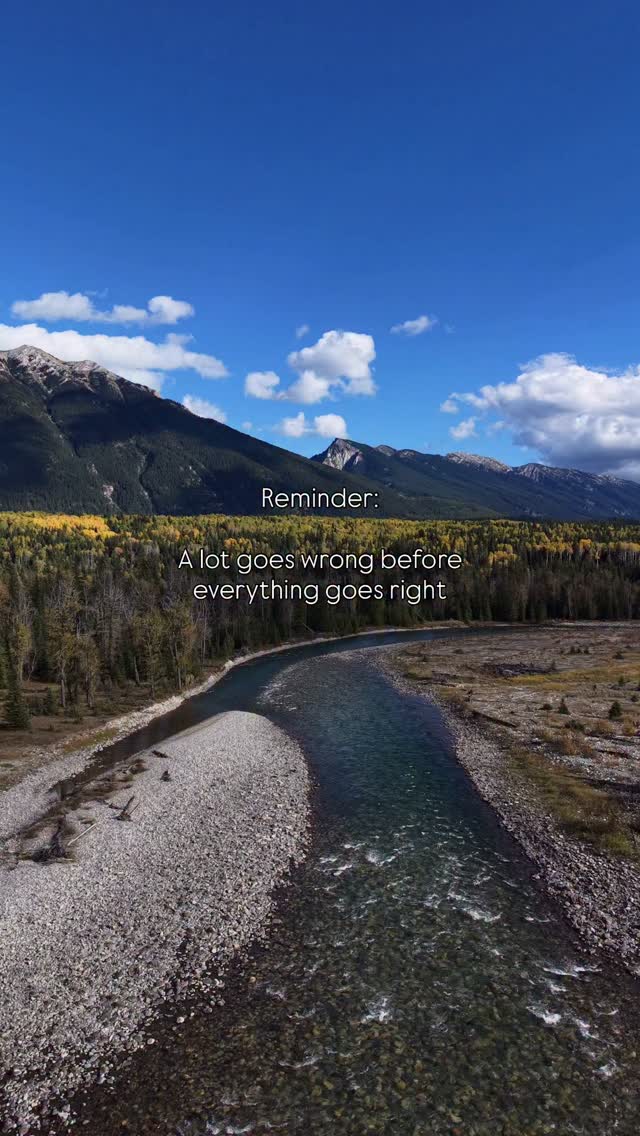 🤍