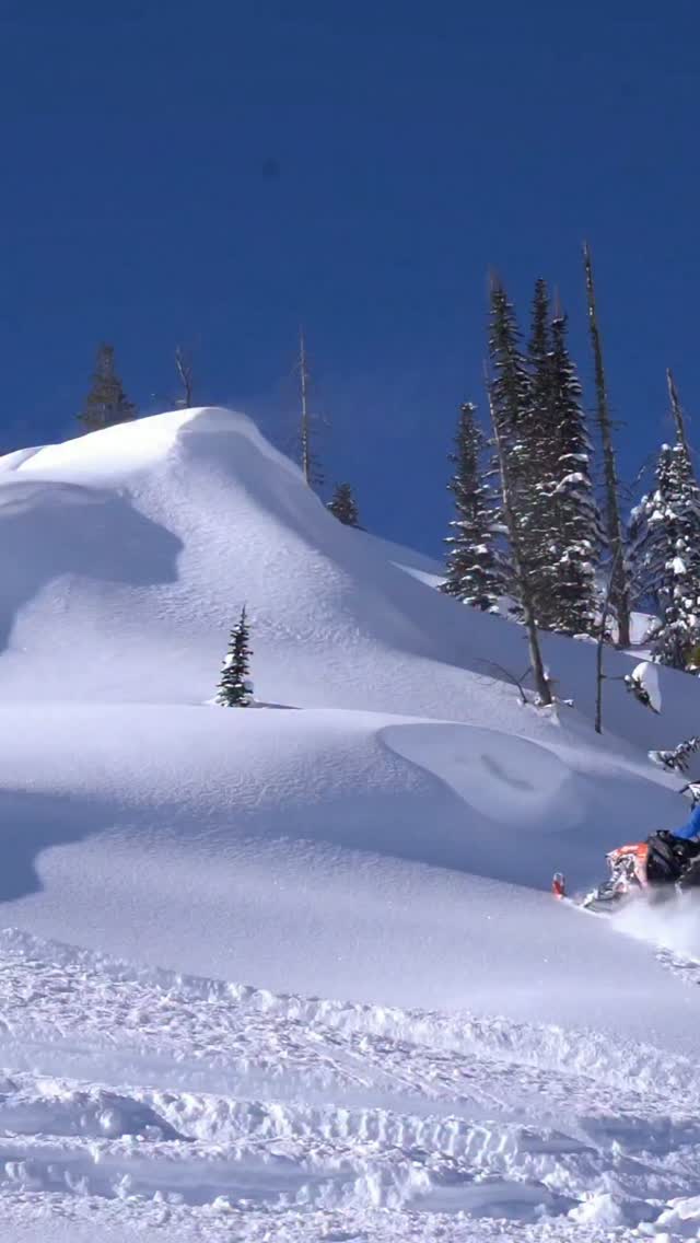 Woke up thinking about snowmobiles today.. ❄️

Anyone else??

#snowmobiles #snowmobile #snowmobiling #polaris #winter