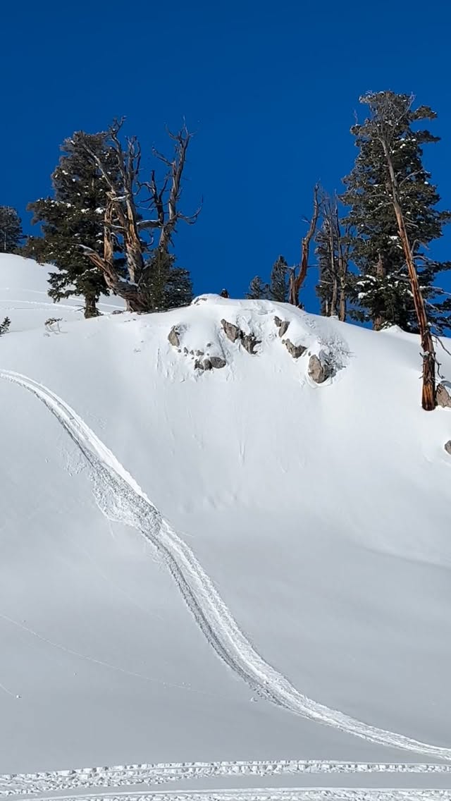 I’m just going to start positing old clips in hopes it will help the snow to start falling. 
.
.
@509inc @oxbowgear @polarissnow 
.
.
.
.
#snowmobile #snow #winter #backcountry #skidoo #polaris #powder  #arcticcat #boost #turbo #mountains #jump #sendit #drop #cliff #fun #extreme #adrenaline