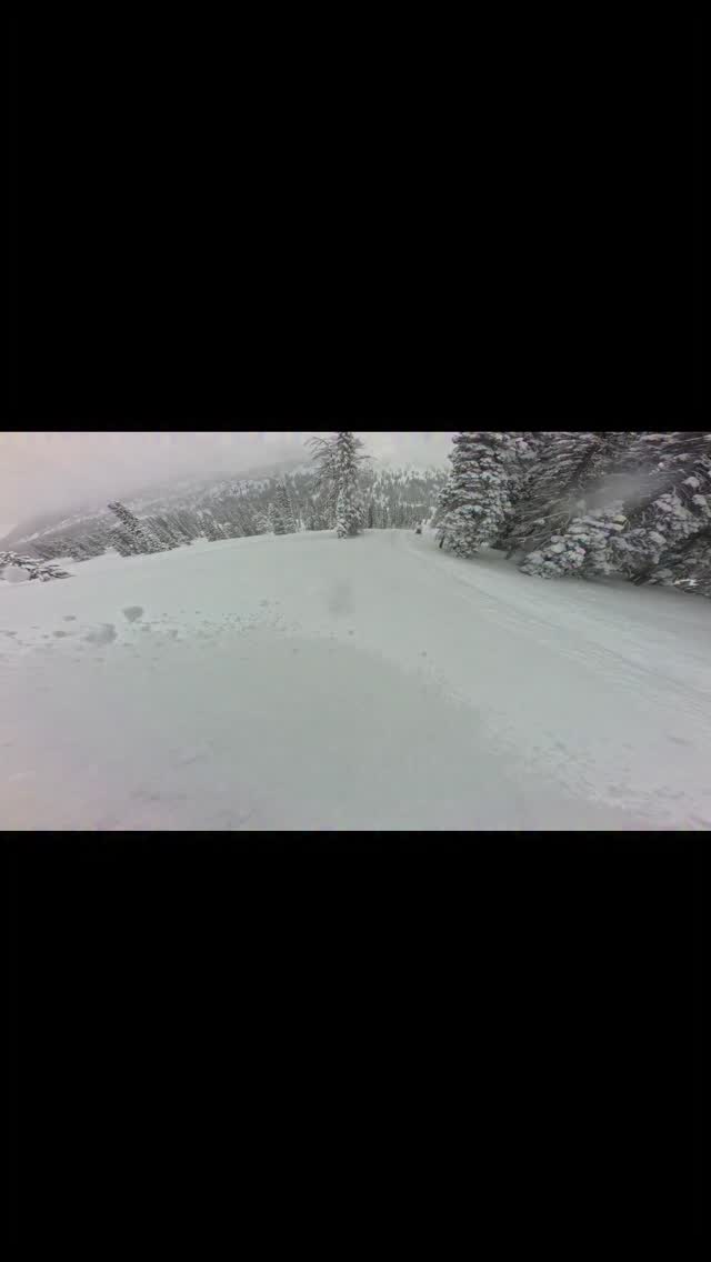 Throw back to one of the deepest days of the year. For awhile I didnt think we were going to have any days like this. 
2026 lynx was a blast on the deepest days. 

#brpdealerambassador #winter #godisgood #lynxsnowmobile