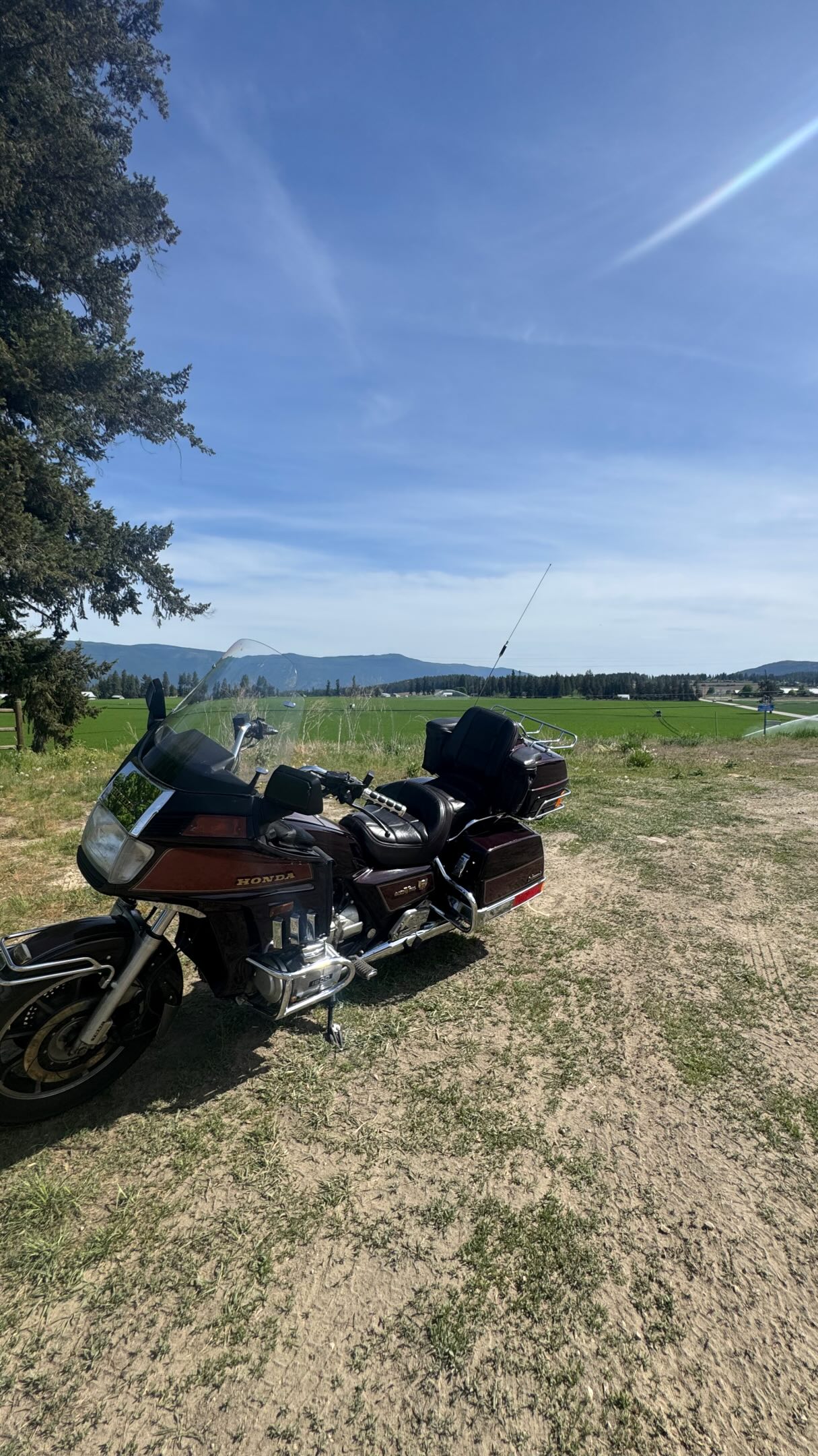 spring rides on a Tuesday afternoon roads r quiet it’s nice 👍🏼 for ripping around on a 41 year old bike @hondamotoca @goldwing_owners @exploresicamous #vintage #shuswap #motorcycle #adventure #dayoff