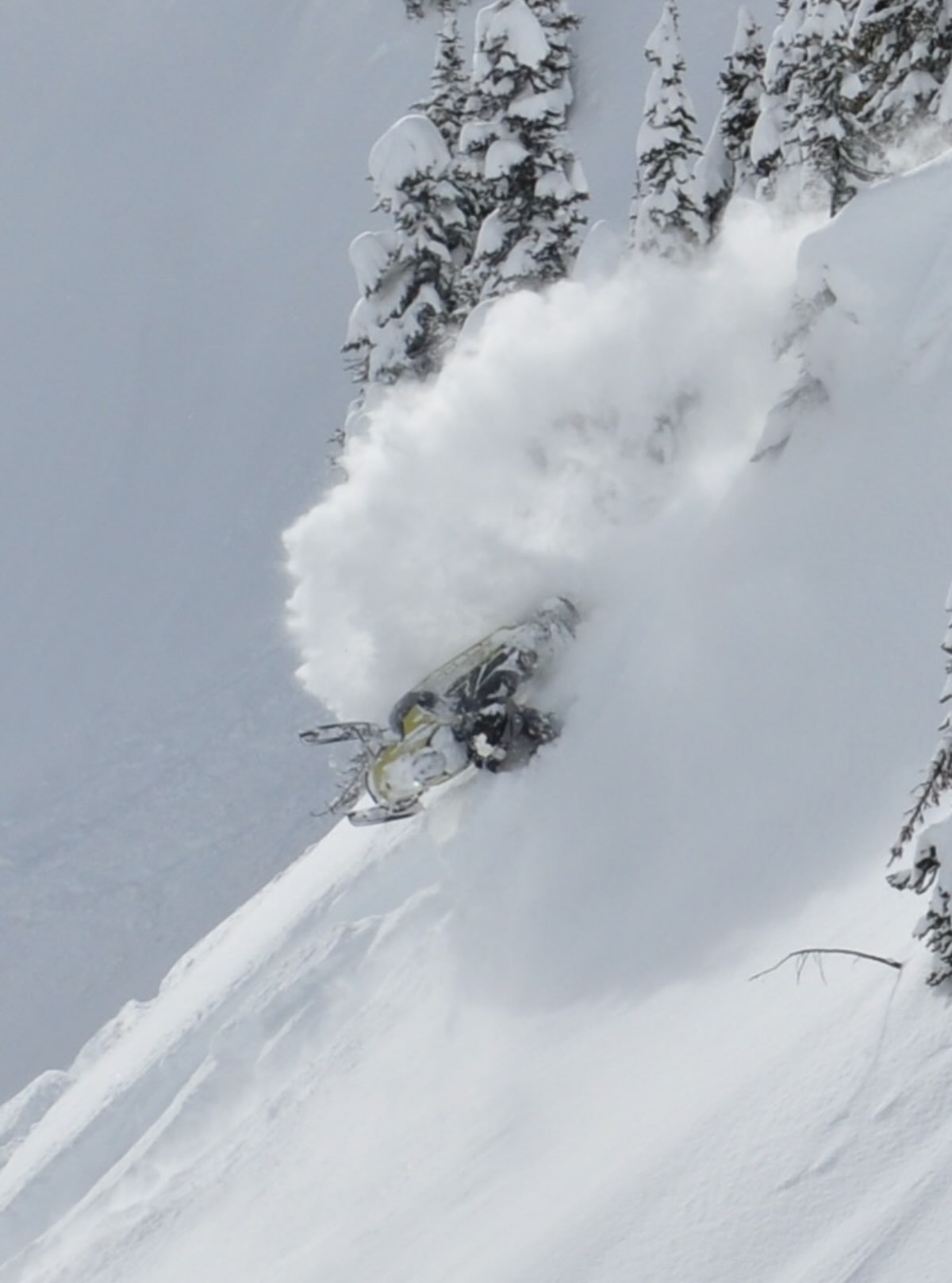 New season. New partnership. ❄️🏔️

Stoked to announce that I’ll be teaming up with Rainy Creek Powersports for the upcoming season! 🤝

Big things ahead — can’t wait to get out there, put some miles on, and represent the crew. 🏔️❄️

Let’s ride. 🤘

#RainyCreekPowersports #deviantink #revelstoke #sledlife #britishcolumbia