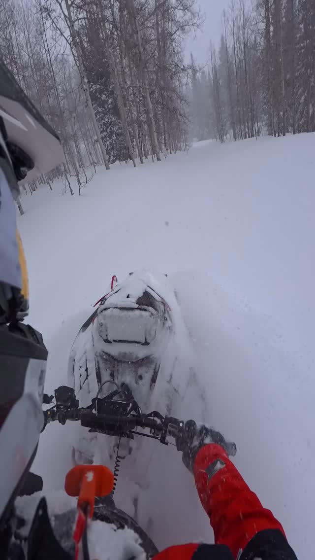 It’s very deep in Utah right now. Pinned Matryx Boost 155 with stage 2 clutching and a bunch of other goodies.

#snowmobiling #boost #utah #backcountry