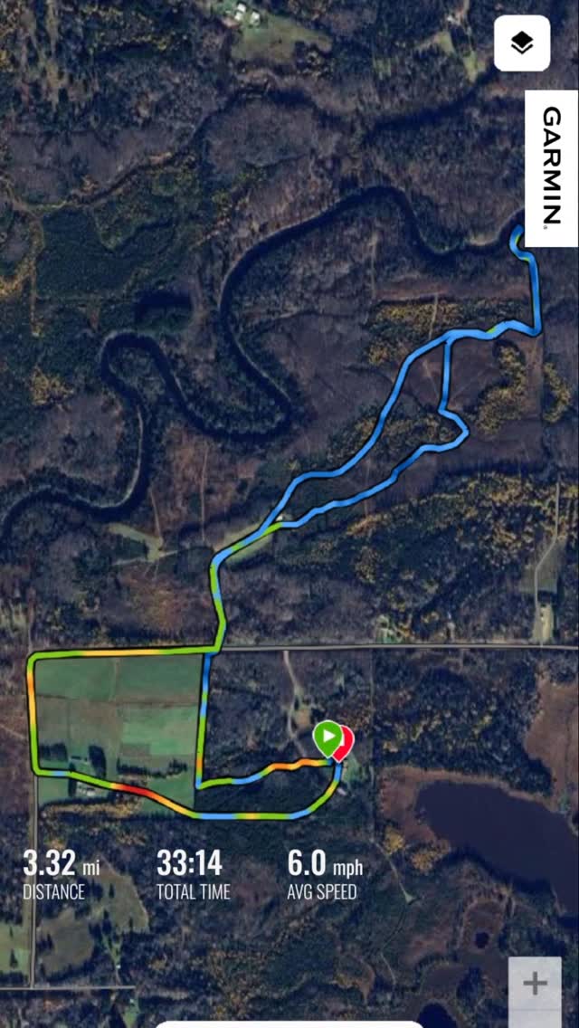 The dogs and I went for a ride to the river tonight.