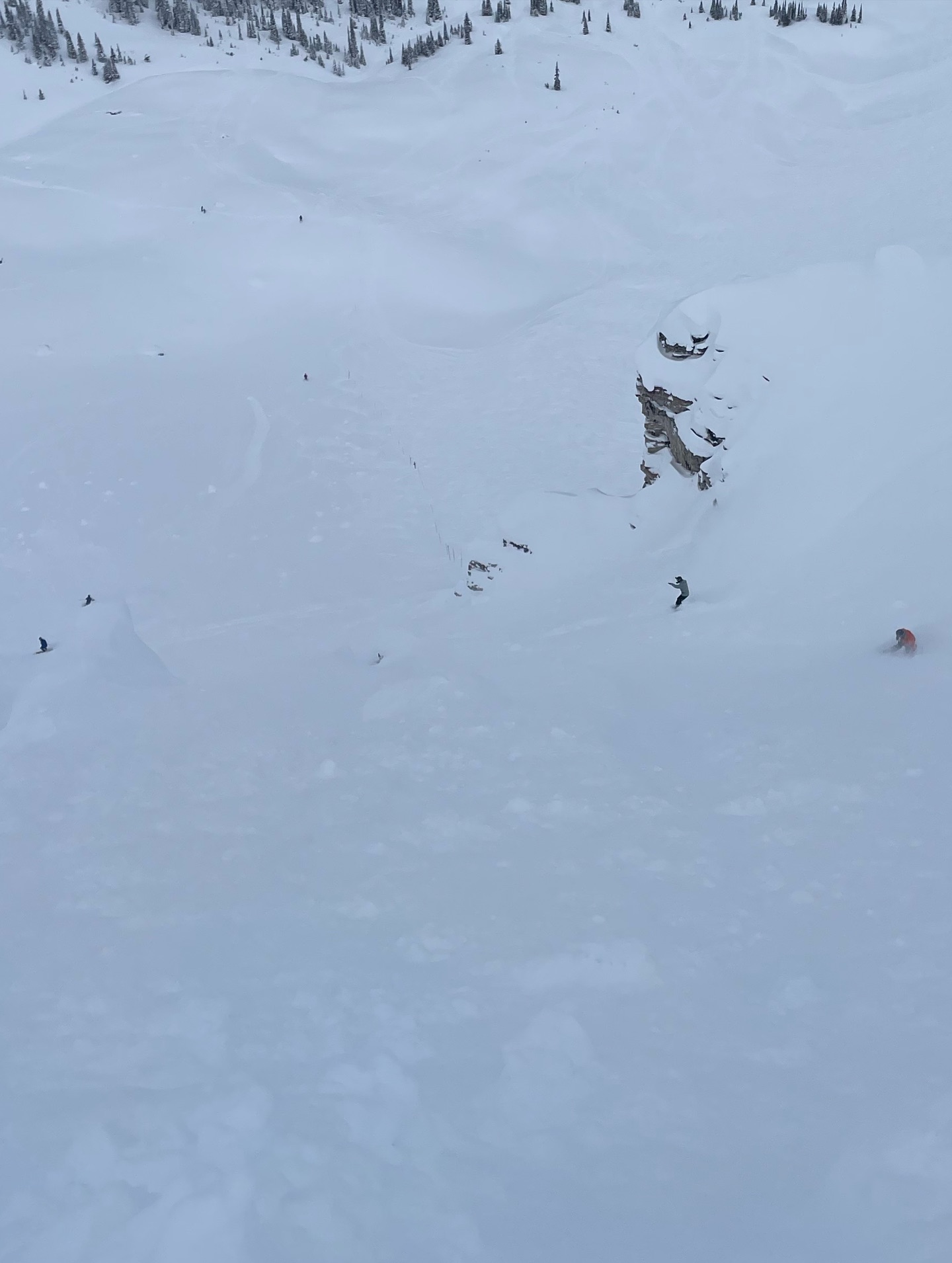 155 cm in the last 7 days at our local skihill???? So good I had to check it myself. Was lucky enough to get third track down whitewall for first opener of year👌🤘 haven’t skied that deep of resort pow in years! 🫠🤤🤤

Also drove one of our spider to the doctor so she can be top and ready to work some more this year.