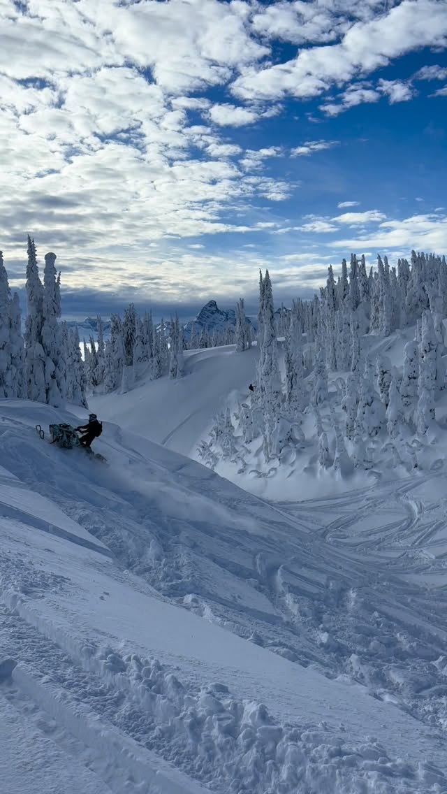 Wheelies right into 2026 😍 #thatskidoofeeling #race #winter #skidoo