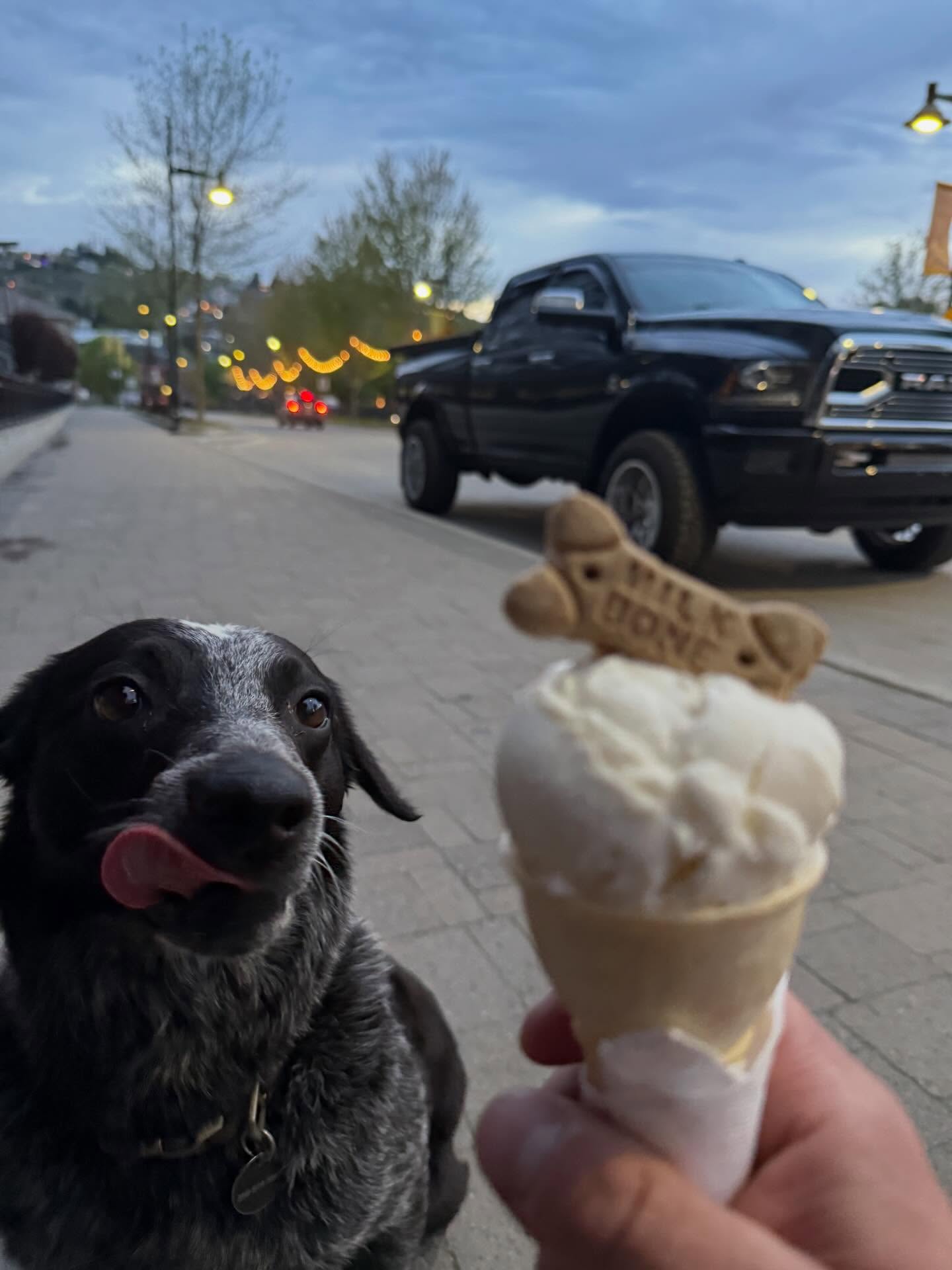 can’t say no to that face #scoopsicecream