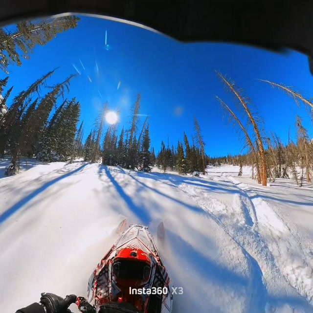 Missing days like this ❄️ 
Utah back country never gets old. 

@ggb_exhaust
@deviantink
@vo_gloves 
@shelton_chiropractic 
@officialskylinepolebuildings 

👉 #snowmobile #snowmobiling #snowmobilelife #backcountrysnowmobiling #mountainriding powderriding deepdays polaris polarisrider utahsnowmobiling utahsnow sledlife sledding snowmobilecommunity stokedindustries