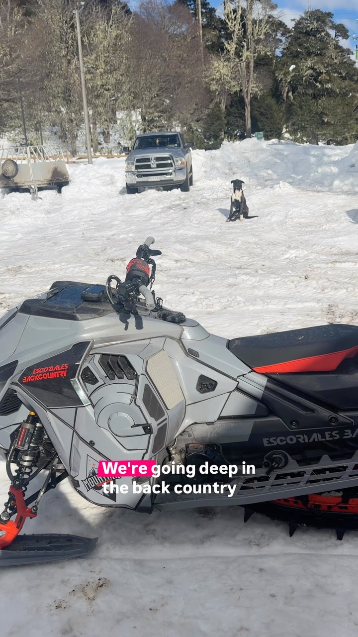 This dog follows us everyday, craziest thing.  @skidoo #ThatSkidooFeeling #skidoo #snowmobile #chile #dog