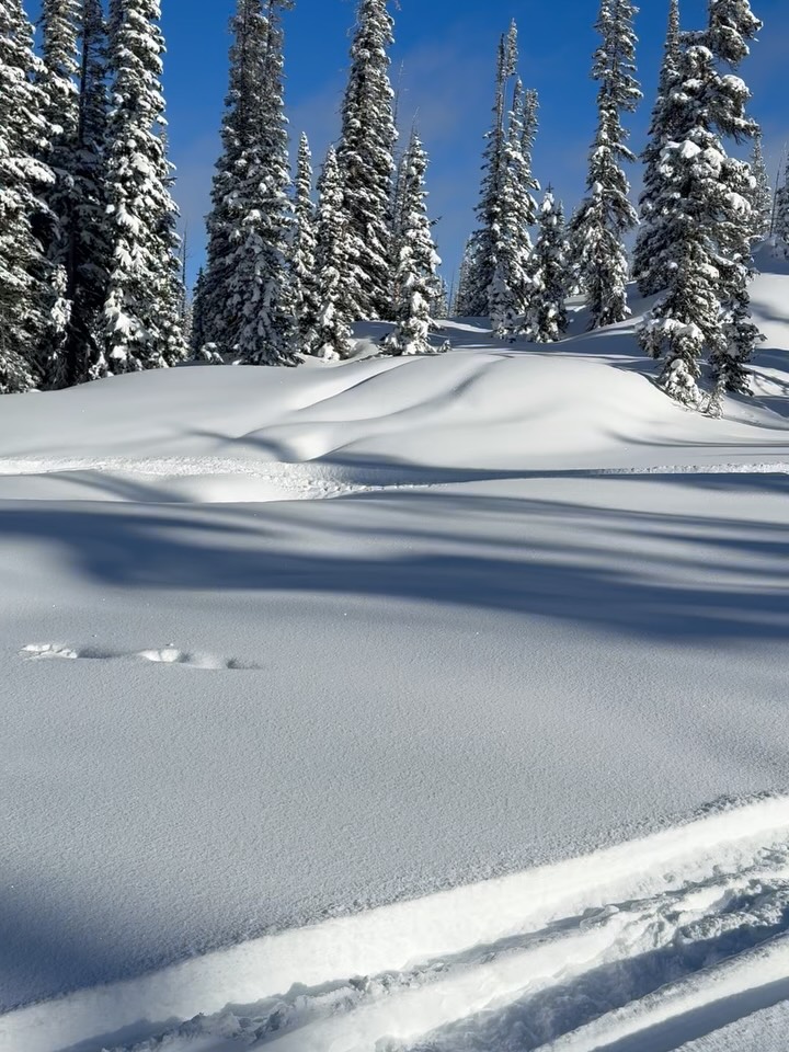 Awesome second trip. Got my butt kicked for two days but that’s the only way you get better. Sled finally was running good and put a smile on my face! #polarissnow