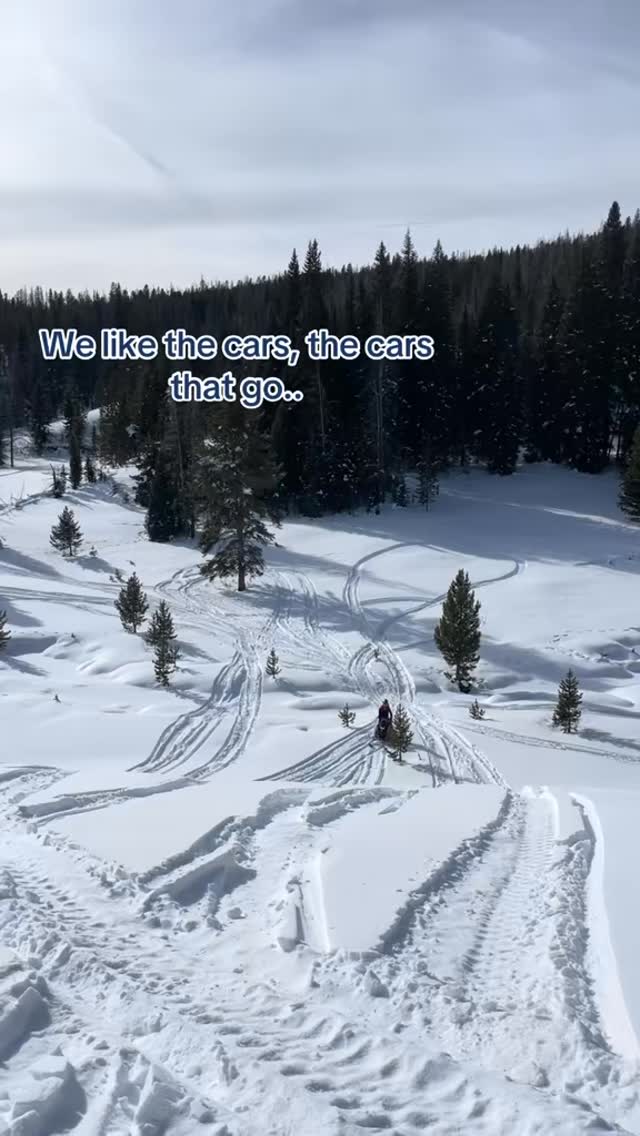 Music to my ears 🎶 #snowmobile #snowmobilelife #winter #trending #snowmobiling