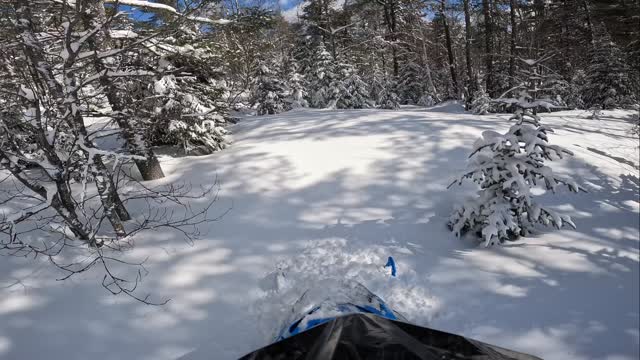 The leprechauns were buried under the fresh snow on this St.Patricks Day! 
@sledsend 
@freshies_built 
@carbonpursuit