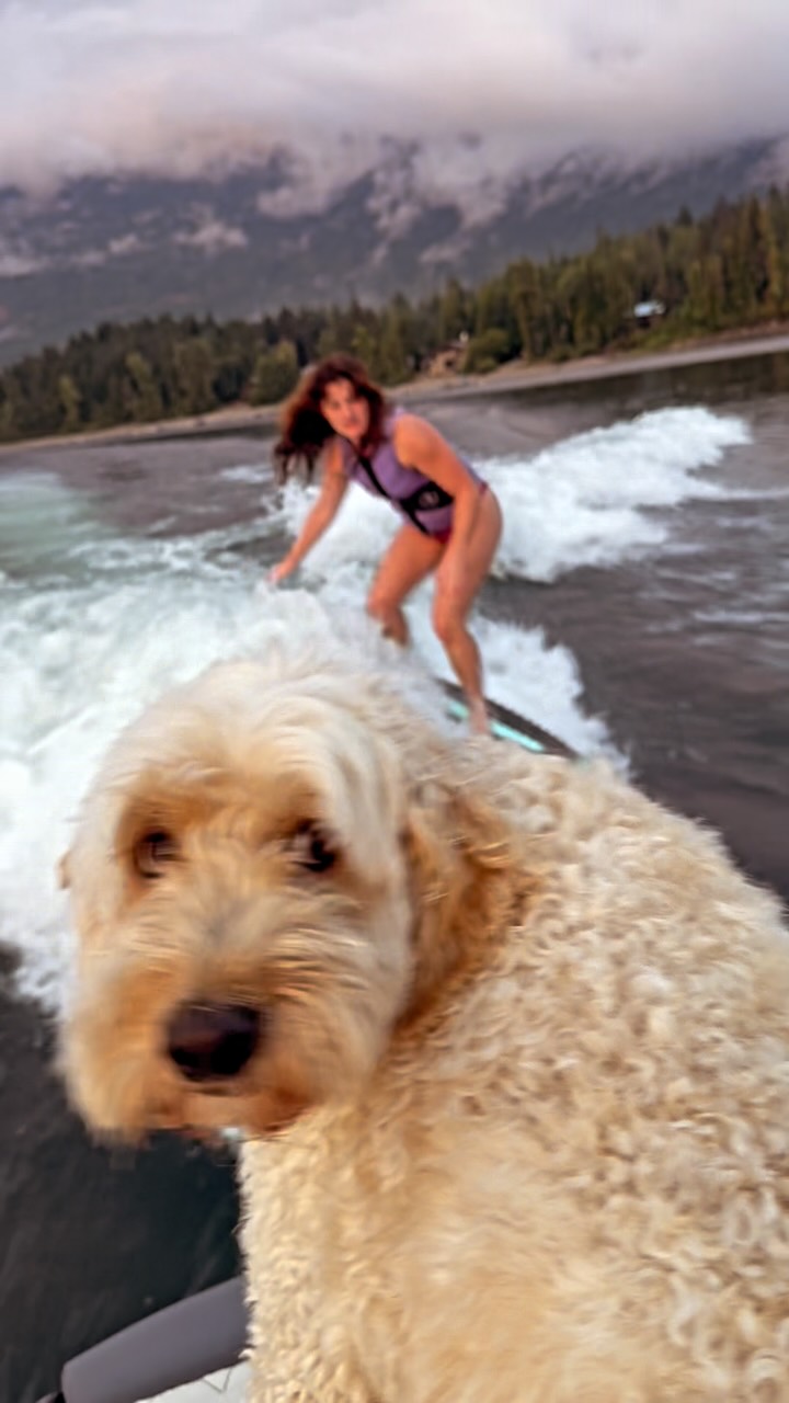 Coach Buddy on board…

Encouragement comes in all shapes and forms🐶
#boat #dog #coaching #nothrow #shuswapboating