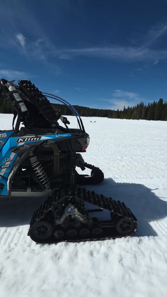 "Walking the dogs" is a lot more fun with @camsopowersports! 💪🏼

#camso #camsopowersports #utv