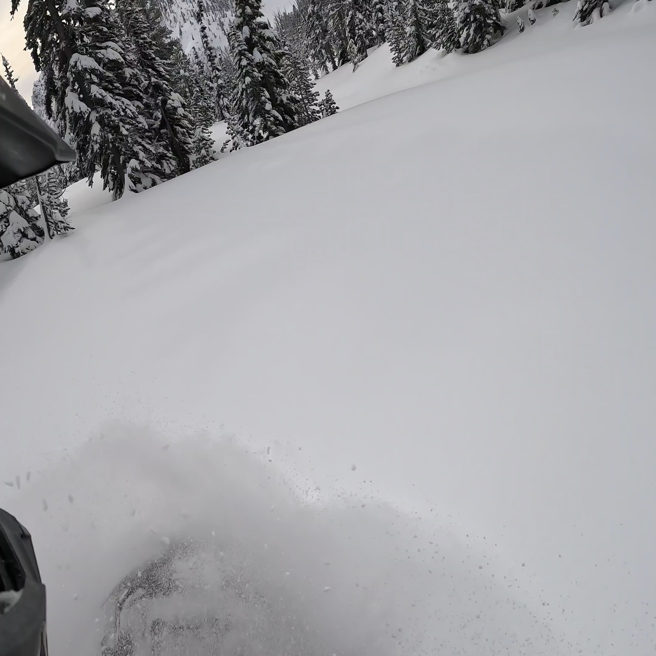 Yes, Washington

Come ride

#sledwashington #snowmobile #sledheadz #snowmobiles #mountains #snow #deeppowder #braap #explore #winter #snowmobiling #sledding #motorsports #skidoo #arcticcat #polaris #lynx #sledneck #twostroke #skidooturbo #powderalert #turbo #avalanchesafety #oxbowathlete