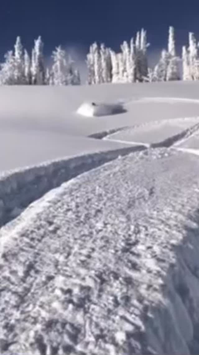 Throwback to this day, what dreams are made of 🙌🏻❄️