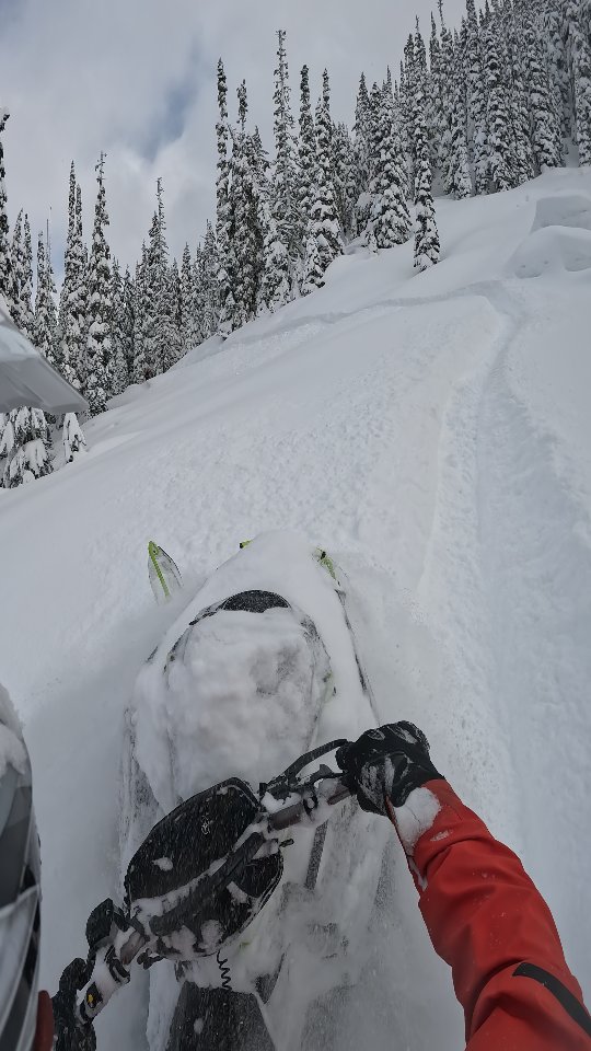 Reminiscing on deeper dayz

#powder #snowmobiling #snowmobile #snowmobiles #winter