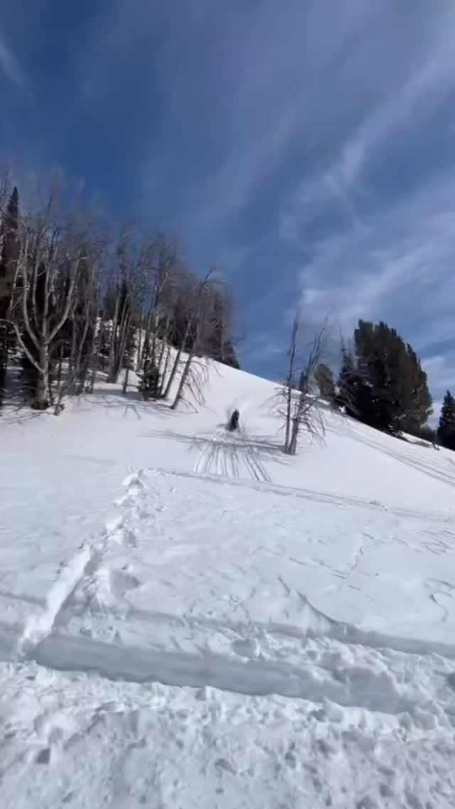 Great day trying out the new @skidoo freerides! 
#skidoo#9inet2motorsports#thatskidoofeeling#ridefastcompany