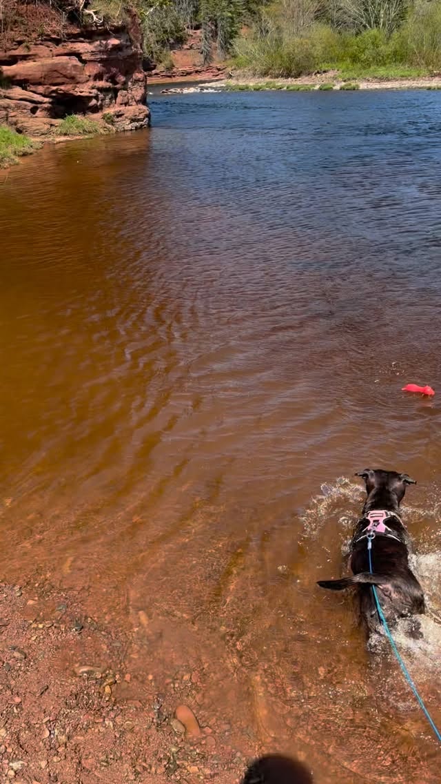 We officially have two swimmers!