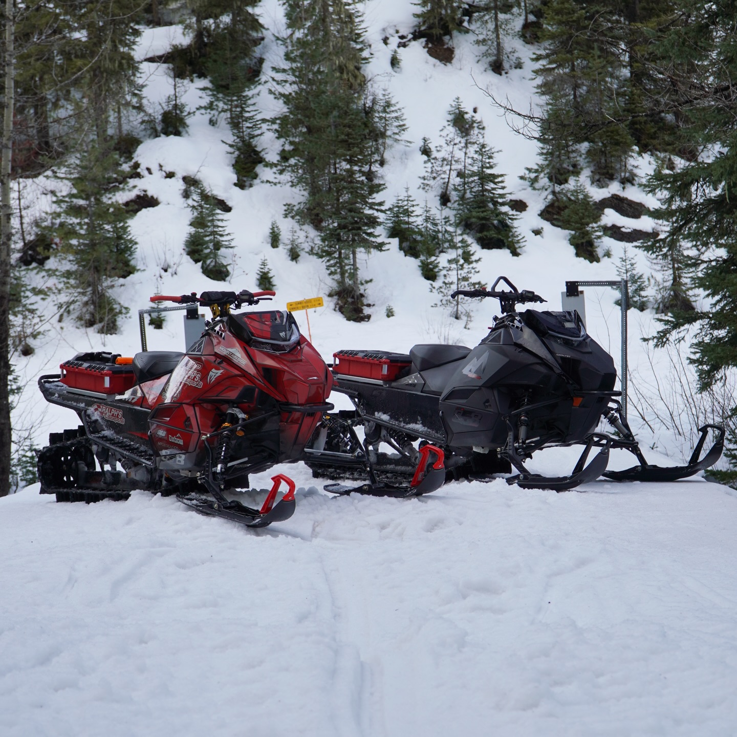 Double Trouble 🔥

#ridewithralps 

~ @ralphs_motorsports 
~ @klim 
~ @oxbowgear 
~ @ggb_exhaust 
~ @m7_designs 
~ @mountainsideperformance 
~ @cobrapullcords 
~ @westerncanadiancats