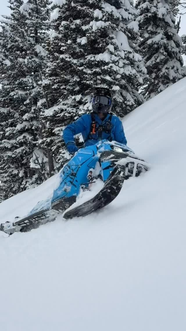 Finally some fresh pow to see what this new @skidoo turbo is capable of, safe to say it does not disappoint!

Dam does that @arcticfxgraphics wrap look good on the snow!

Also can’t beat the sound of that @silberturbos can!

And the 
📸- @tylervbos 

@tipsup.productions 
@arcticfxgraphics 
@skidoo 
@mounthelenamotorsports 
@bsb_fab 
@silberturbos 
#brpdealerambassador 
#thatskidoofeeling