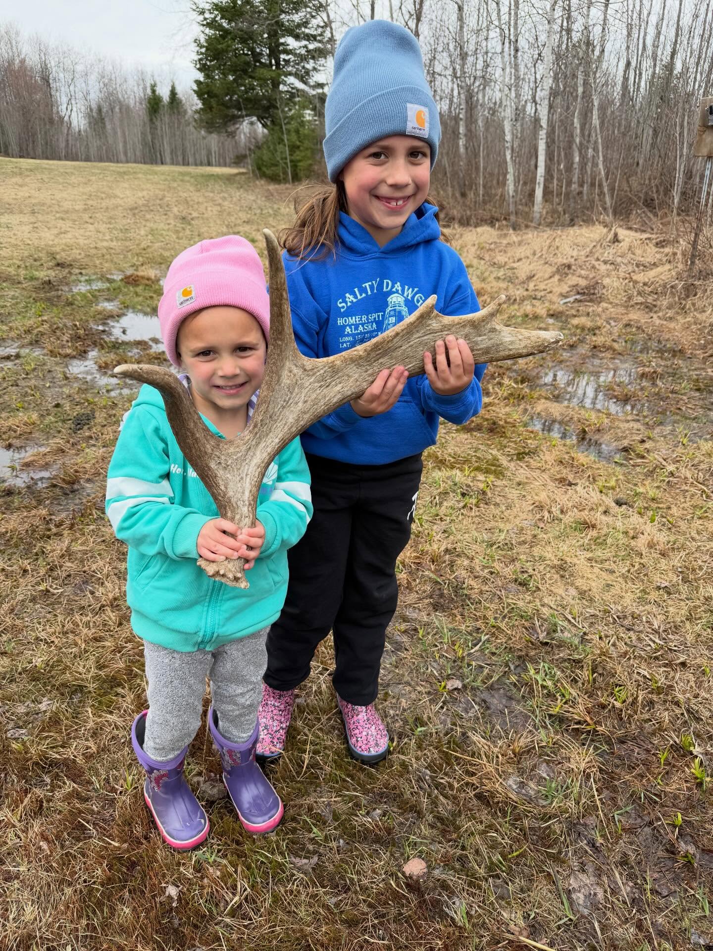 The girls with a moose shed score at camp!
