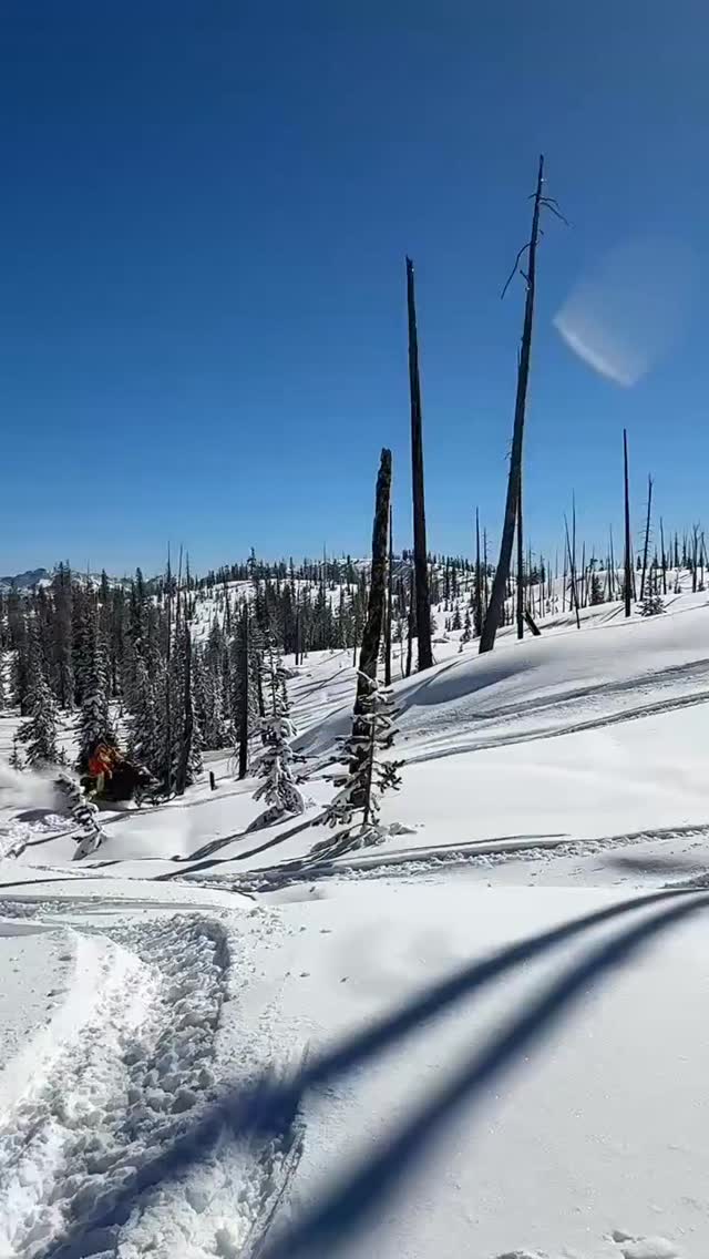 Party with the boys
#ridelocal
#9r 
#sledsend
#idahome 
@208__feerider