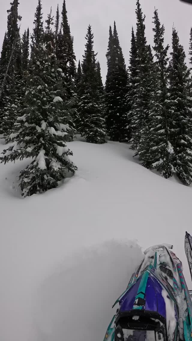 Pt.2
#winter #snowmobile #sledusa #sledding #oxbowathlete #journeyfarther #sendit #backcountry #outdoors #idaho