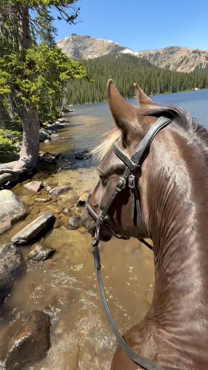 Pray for Leadville.  I am still in shock that this whole area was evacuated 1 hour after I left for a massive wild fire.  I had a beautiful ride today, and this fire was literally coming down the mountain as I was passing through.  I am fortunate to be home tonight, and sad about the loss of such a beautiful forest. 💔