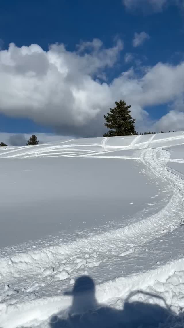 Little throwback to when I was just starting to get a little more serious about jumping.
Crazy to think my goal this year is a backflip 🤷‍♂️
Thanks to the @sledsend brotherhood for supporting me in my progression on and off the snow and childhood friends like @730ridered for keeping up and catching some of this stuff on 📹. Also thankful for my favorite products from:
@cheetah_snow
@munstercanada 
@3d_logik 
@avid.products
#sledsend 
#sledsendbrotherhood 
#sledusa 
#polarissnow