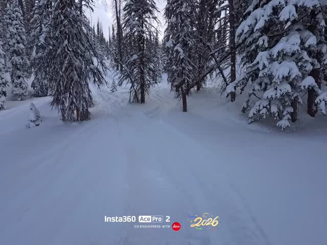 My snowmobile hated me this weekend
Wide open everywhere 😎 

@skidoo 
@bsb_fab 
@wellerrecreationutah 
@oxbowgear 
@mountainlabgear 
@tempestoptics 
#snow 
#utah 
#snowmobiling 
#turbo 
#thatskidoofeeling