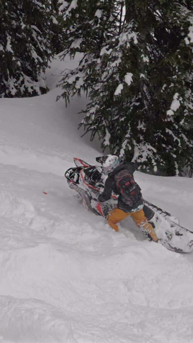 I wish I had a seasonal hopover counter

@calebkesterke 📸
@proven_progression 
@509inc