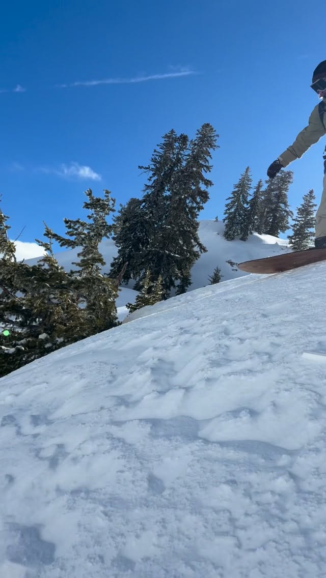 5 star @powsurf conditions today😂 #nobrakes