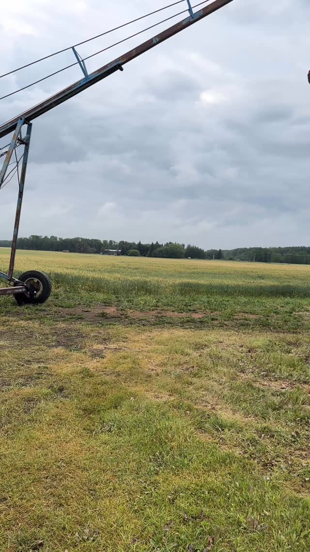 Time to go to work! 😂 there’s hay to be made!
