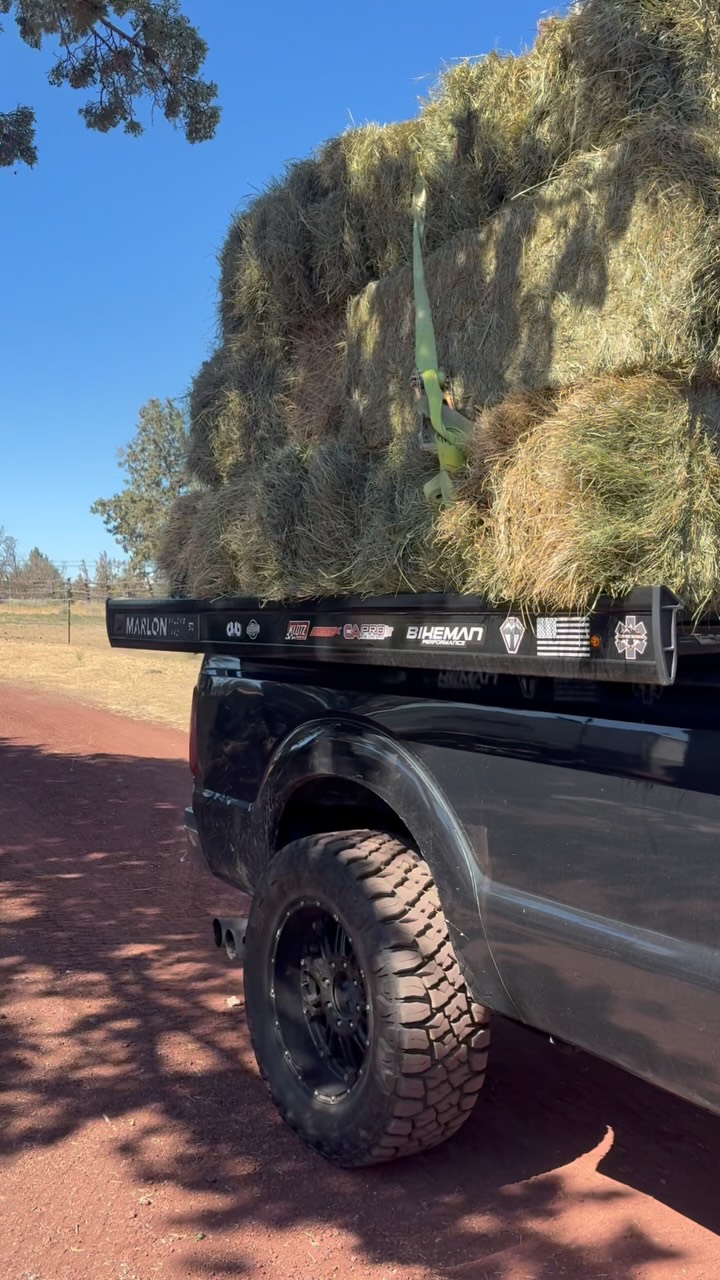 Another ton of hay delivered the Marlon way! 

Curious about sled decks? Send me a message or comment below! You can get these decks in black or white or even custom wrap them through @thesierrawinterway and @arcticfxgraphics 

@marlon_products 

#Marlon #TrailToWater #MarlonSledDecks #Snowmobile #PnwPowderPuffin